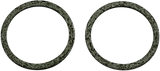 Exhaust Gaskets