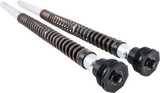 FKS Cartridge Kit