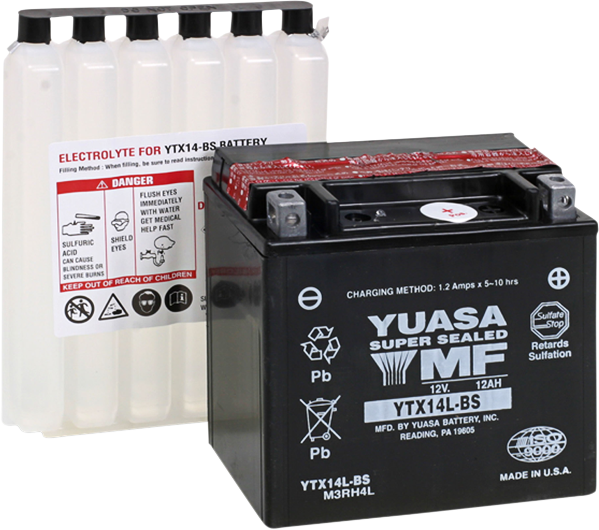AGM Maintenance-Free Battery