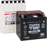 AGM Maintenance-Free Battery