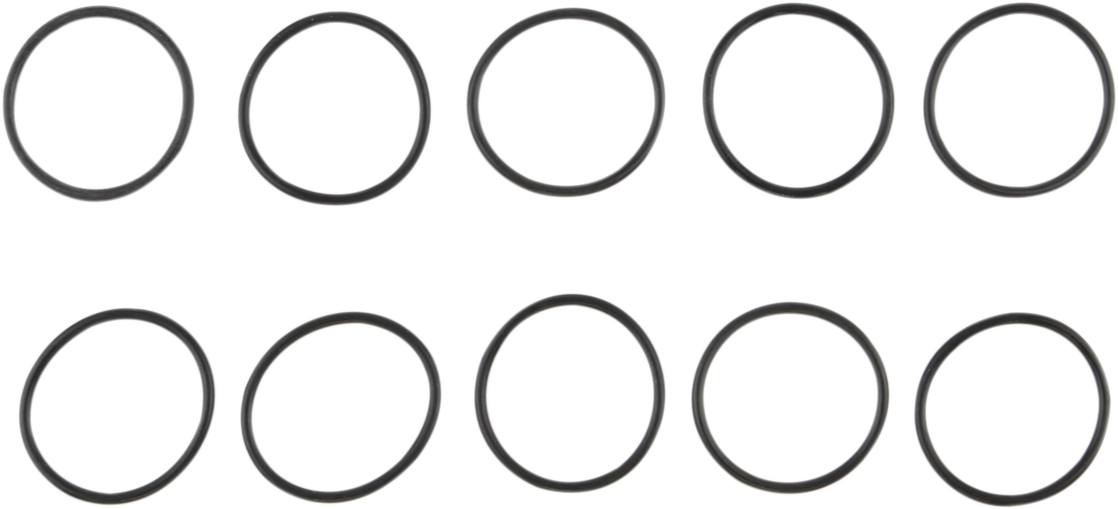 Primary O-Ring