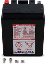 AGM Maintenance-Free Battery