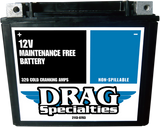 Factory-Activated High-Performance AGM Maintenance-Free Battery