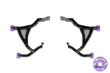 Road Warrior Rear Bag Guards