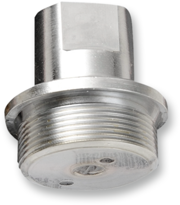 Upper Fork Tube Caps/Bolts — Standard