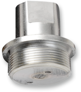 Upper Fork Tube Caps/Bolts — Standard