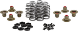 Beehive Valve™ Spring Kit