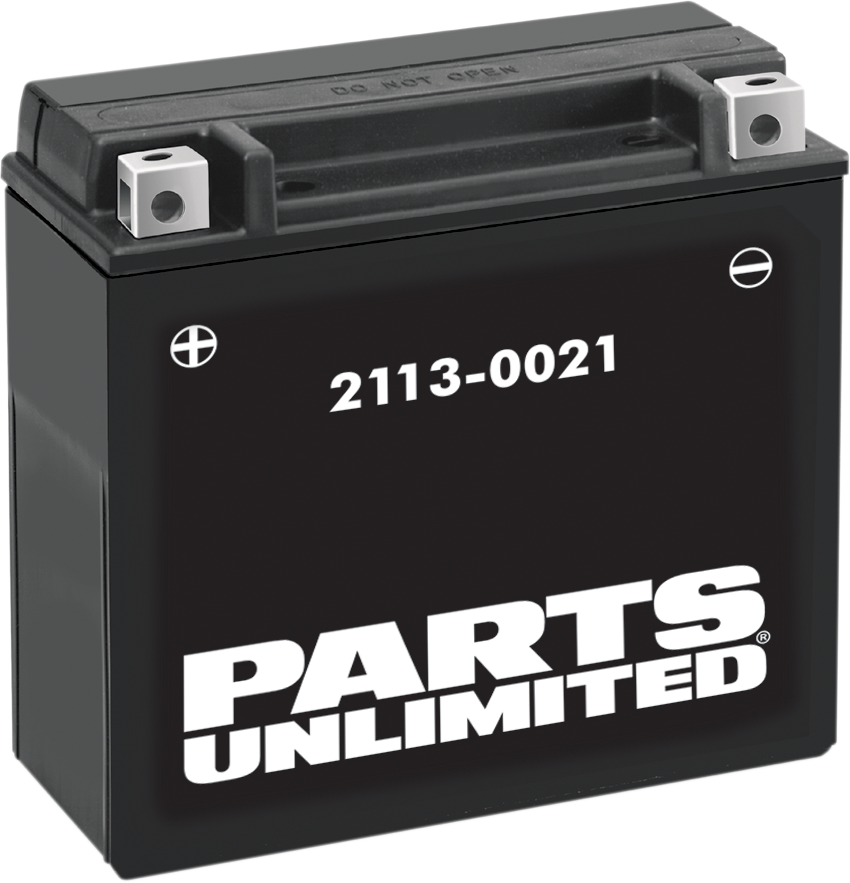 AGM Maintenance-Free Battery
