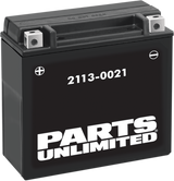 AGM Maintenance-Free Battery