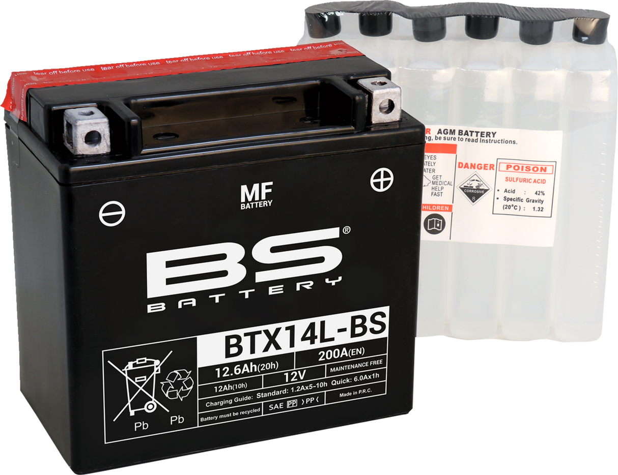 Maintenance-Free Battery