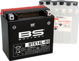Maintenance-Free Battery