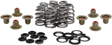 Beehive Valve™ Spring Kit