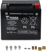 High Performance AGM Maintenance-Free Battery