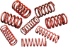 High-Lift Valve Spring Kit