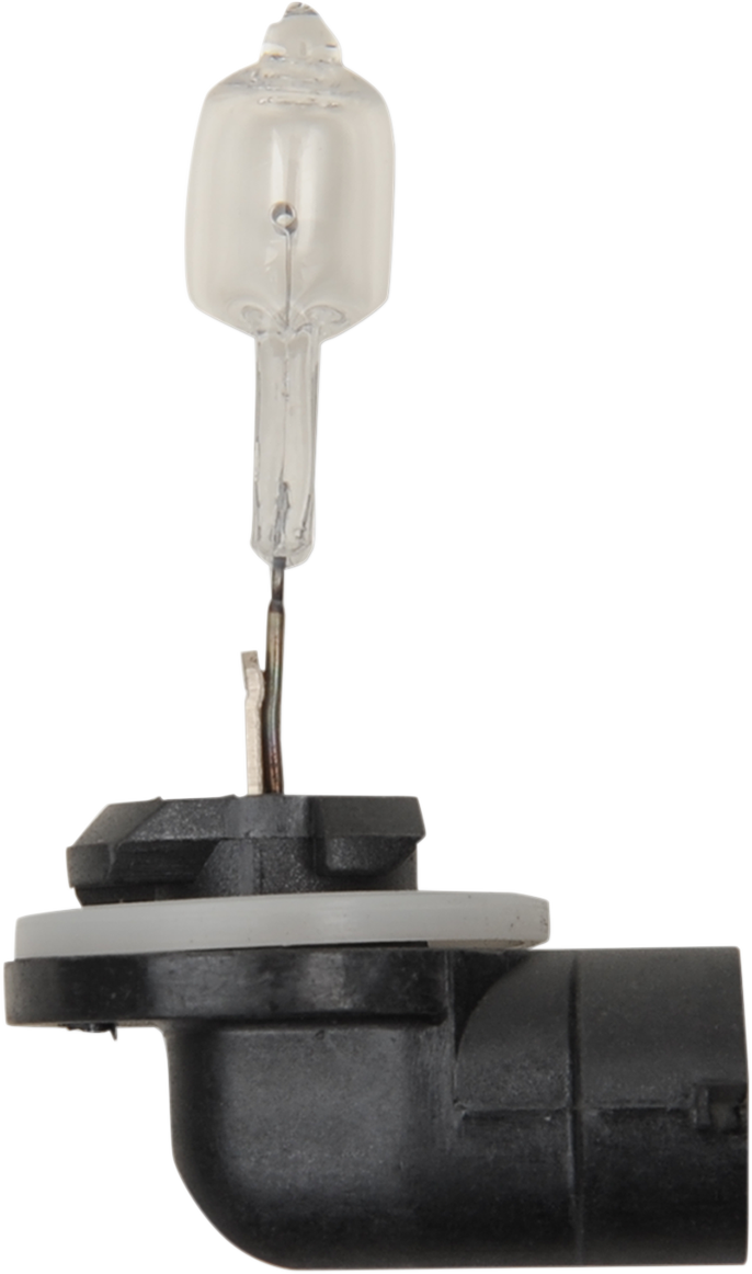 Halogen Bulb