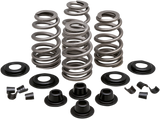 Beehive Valve™ Spring Kit