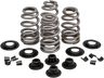 Beehive Valve™ Spring Kit