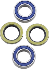 Wheel Bearings for MX1 Hub