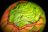 Airform™ Trick or Street Helmet
