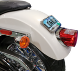 Large Radius Three-Bolt Style License Plate Mount Assembly