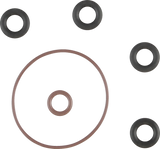 Induction Module O-Ring