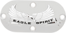 "Eagle Spirit" Inspection Cover