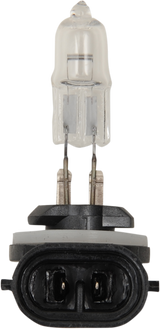 Halogen Bulb