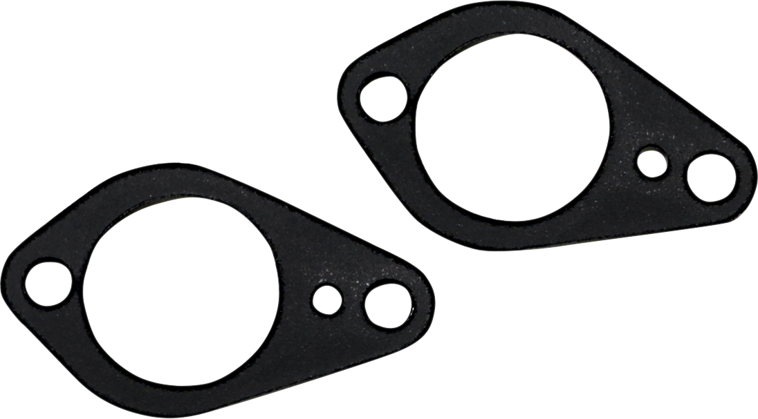 Cam Chain Tensioner Gasket