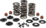 Racing Valve Spring Kit