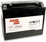 Maintenance-Free Battery