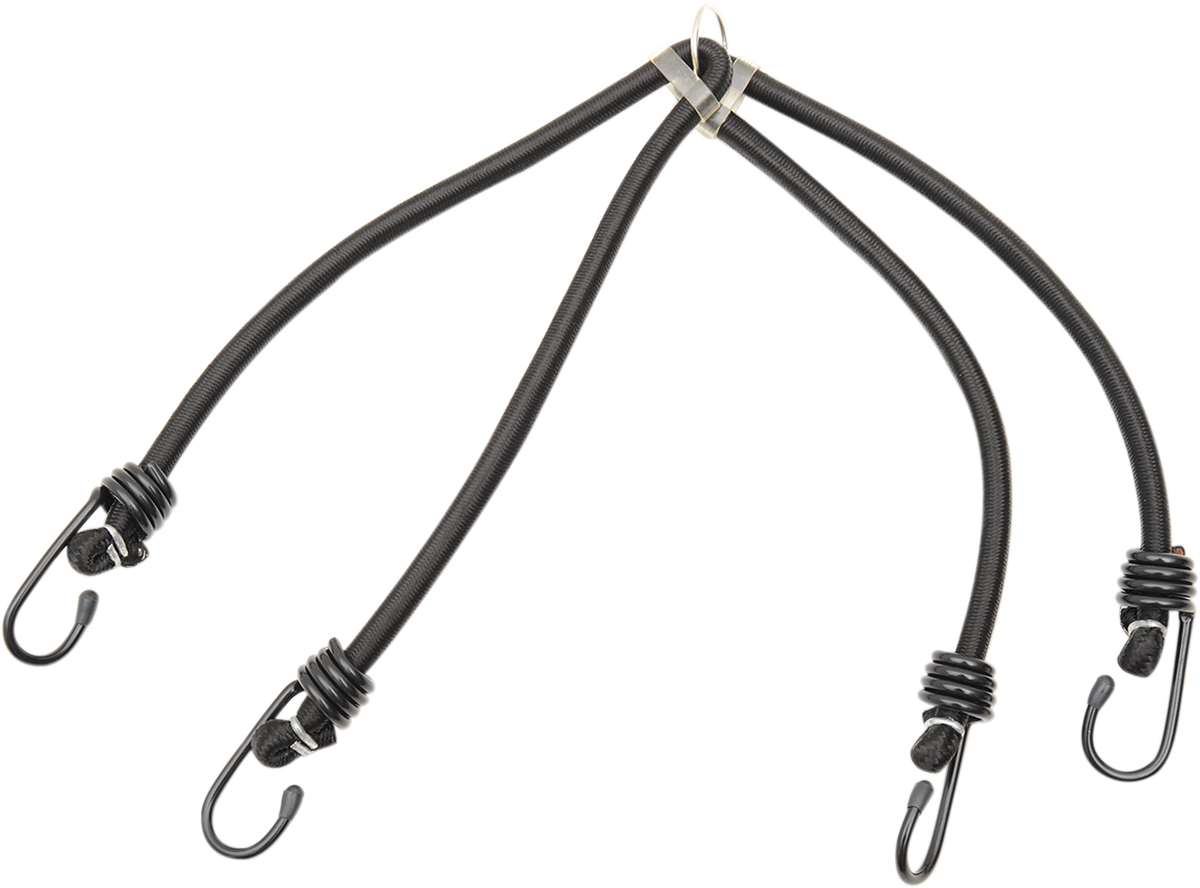 Bungee Cord