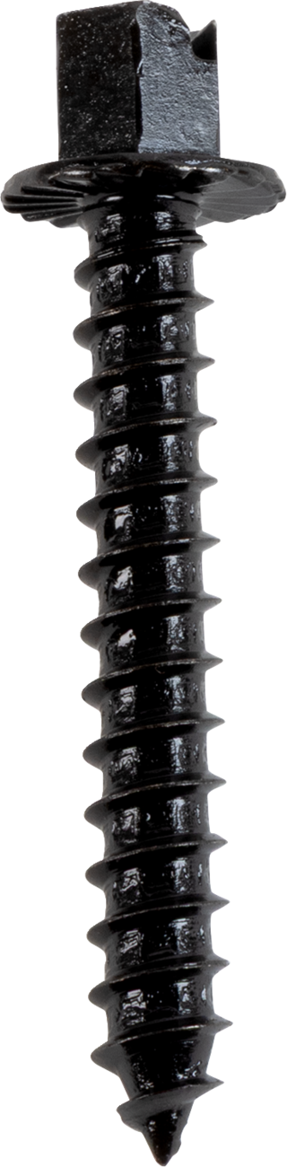 Outlaw Canadian Screws