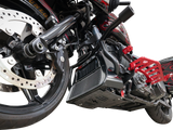 Forged Carbon Fiber Skid Plate