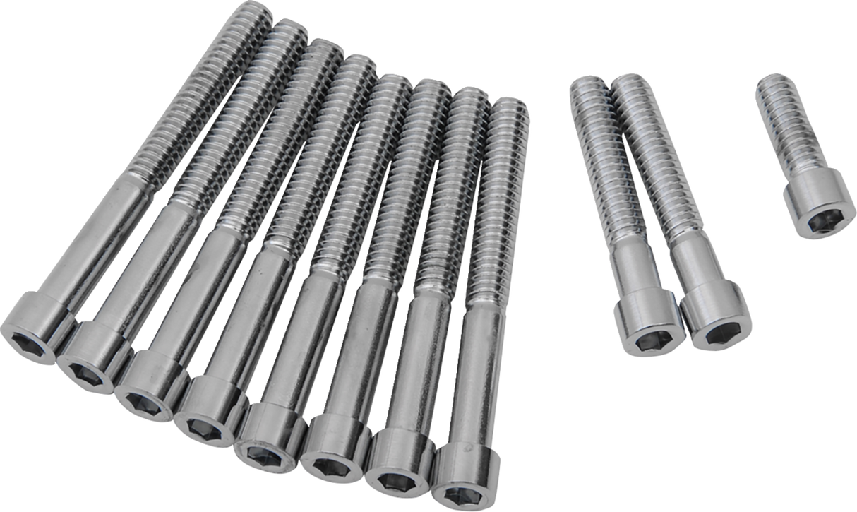Primary Cover Only Bolt Kit