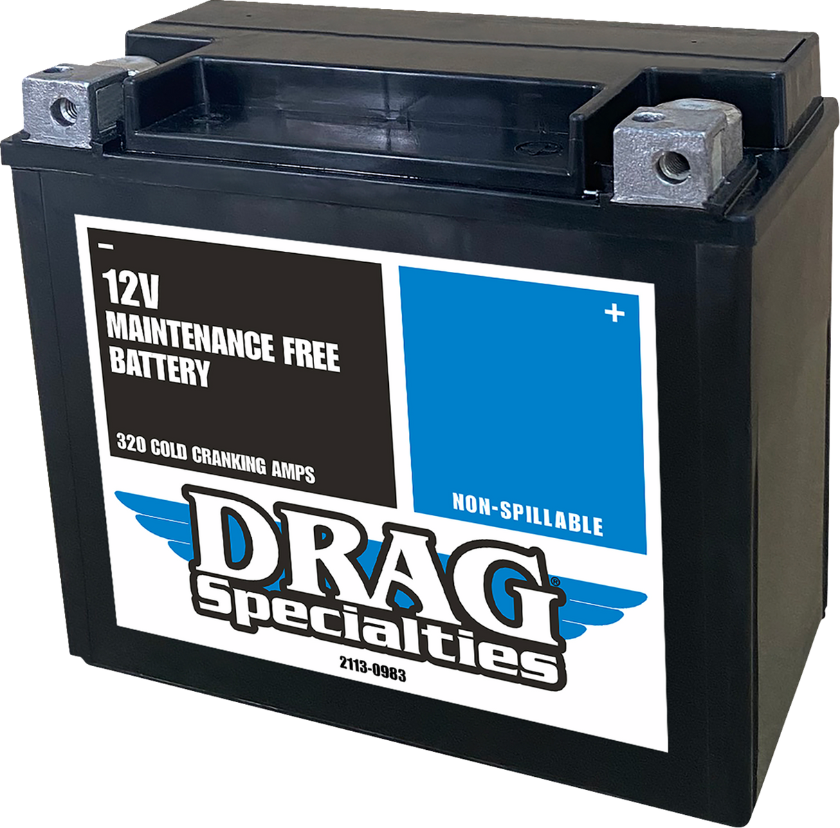 AGM Maintenance-Free Battery