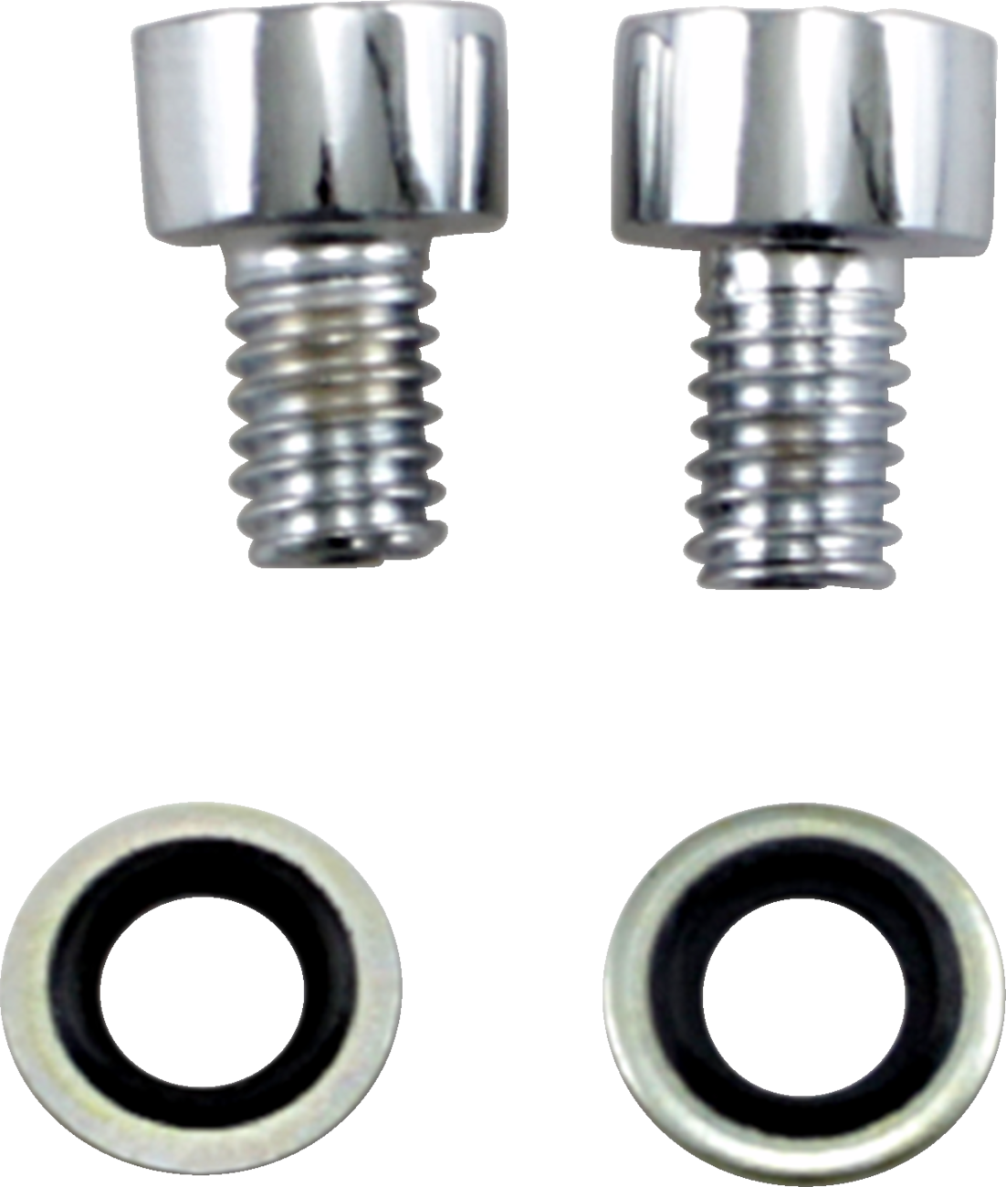 Fork Drain Screw Kit