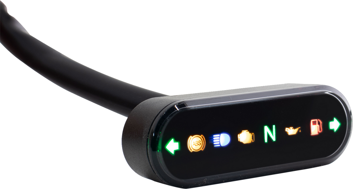 Gauge Indicator Light