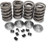 Racing Valve Spring Kit