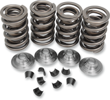 OEM Replacement Valve Spring Kit