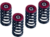 Clutch Spring Kit