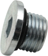 Magnetic Oil Drain Plug