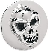 3-D Skull Points Cover