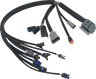 EFI Harness