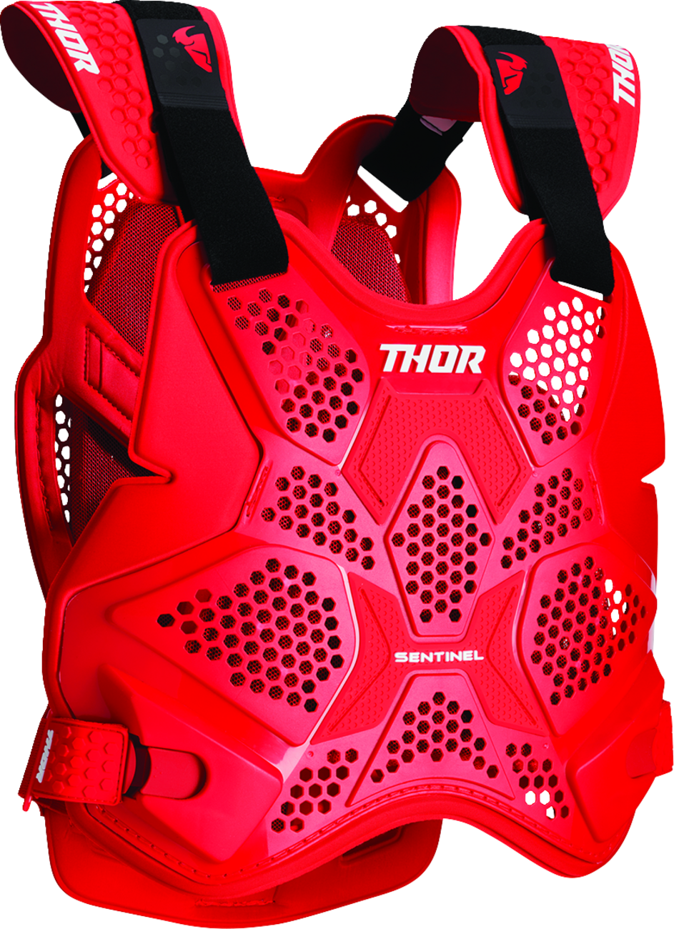 Sentinel Pro Guard