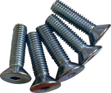 Brake Rotor Hardware Kit