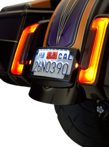 3-in-1 License Plate Kit