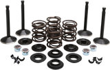 Engine Valve Kit