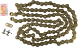 520 MXZ5 Chain