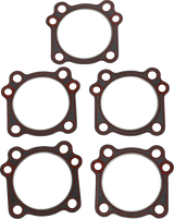 Replacement Cylinder Head and Compliance Fitting Gaskets