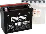 Maintenance-Free Battery